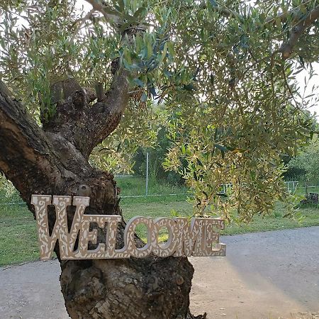 The Secret Olive House Villa Неа Миханиона Екстериор снимка