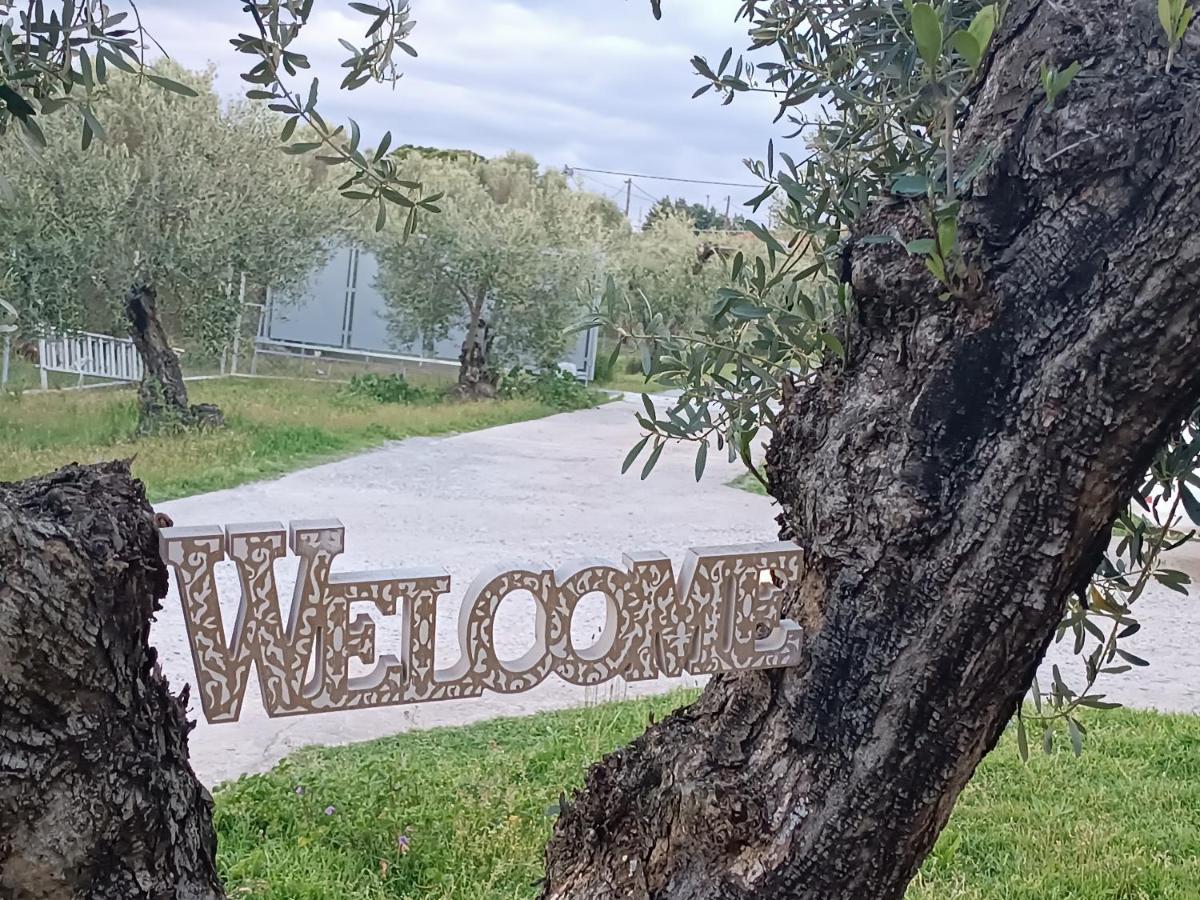 The Secret Olive House Villa Неа Миханиона Екстериор снимка
