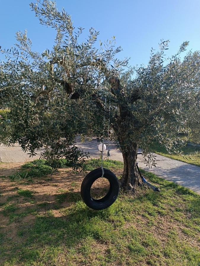 The Secret Olive House Villa Неа Миханиона Екстериор снимка