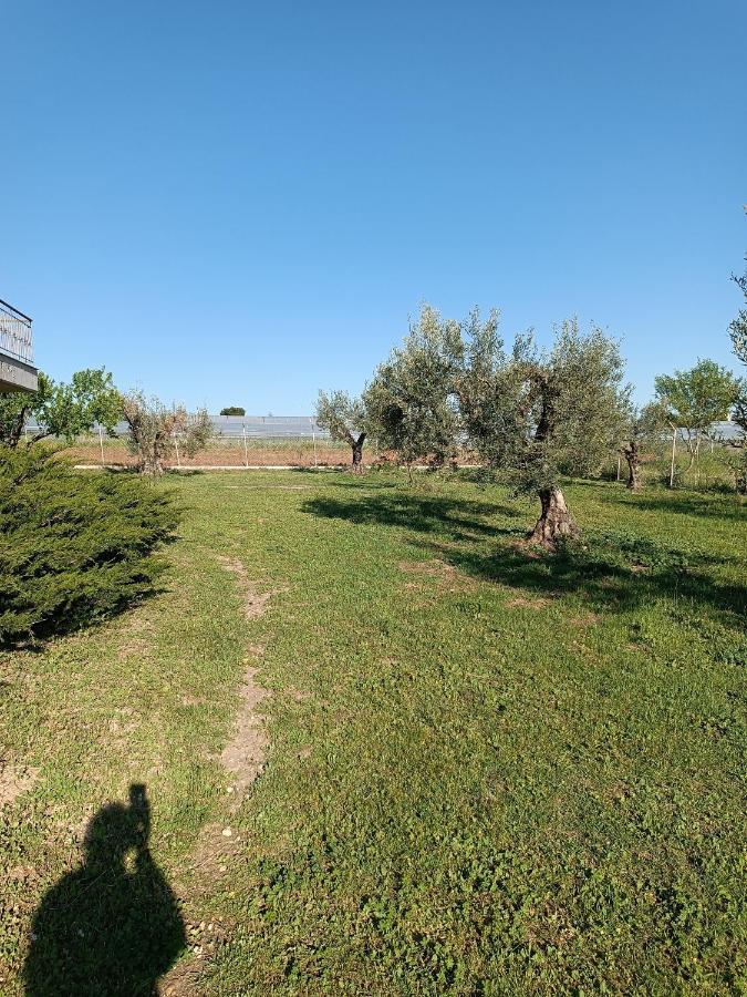 The Secret Olive House Villa Неа Миханиона Екстериор снимка