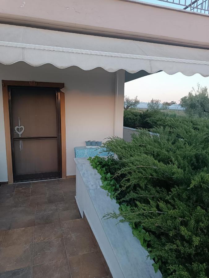 The Secret Olive House Villa Неа Миханиона Екстериор снимка