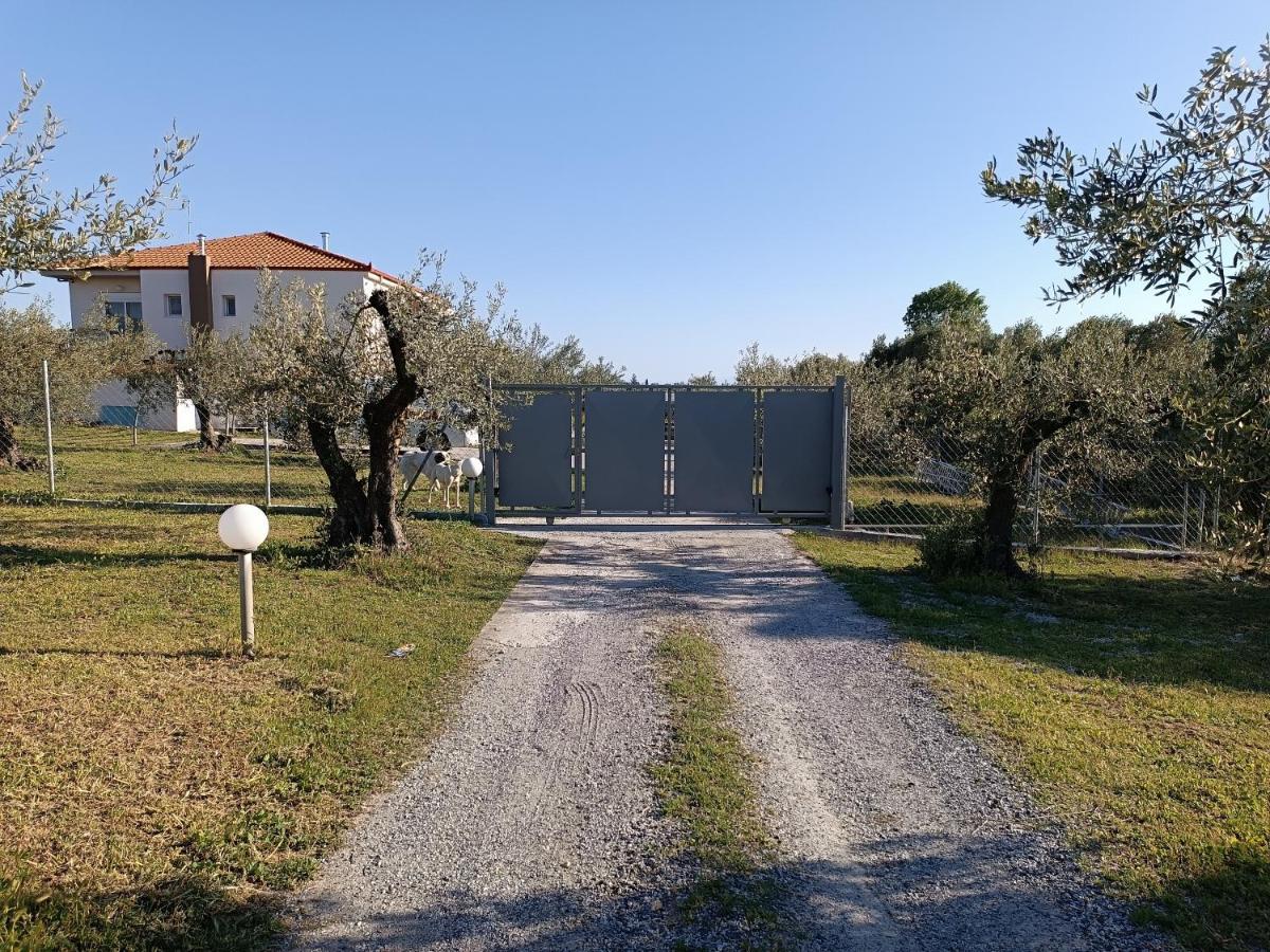 The Secret Olive House Villa Неа Миханиона Екстериор снимка
