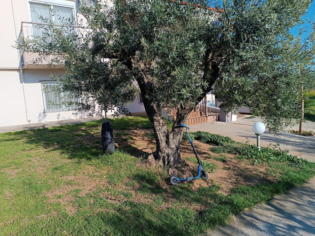 The Secret Olive House Villa Неа Миханиона Екстериор снимка