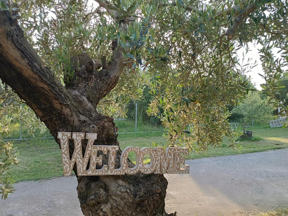 The Secret Olive House Villa Неа Миханиона Екстериор снимка